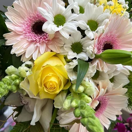 Casa Flores I * Paredes de Coura